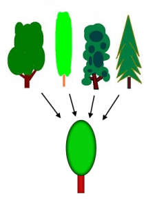 Generalization_process_using_trees_PNG_version