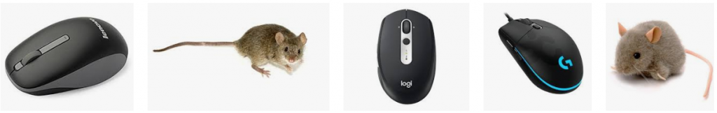 Image search results for "mouse"