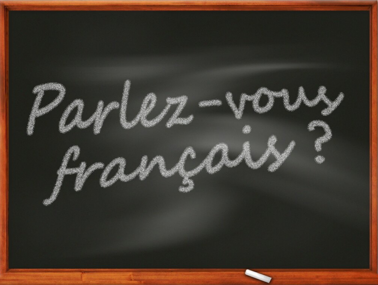 De performance van LLM’s: Een vergelijkende analyse tussen Frans en Nederlands